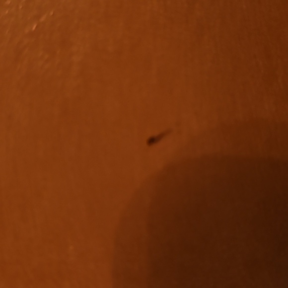 Christian Louboutin shoulder bag leather - Picture 8 of 11